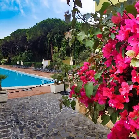 Ala Birdi Appart hôtel Arborea