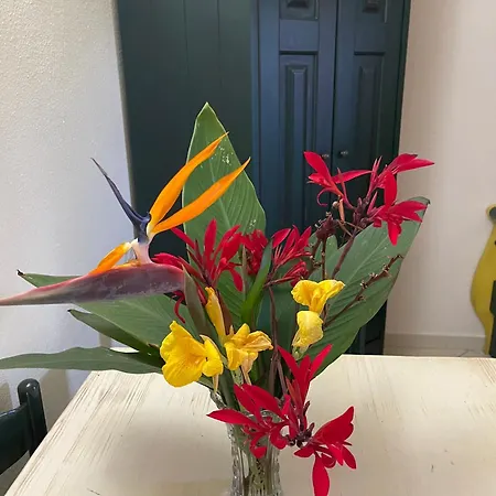 Ala Birdi Appart hôtel 3*