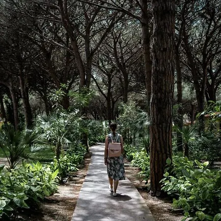 Ala Birdi 3* Arborea