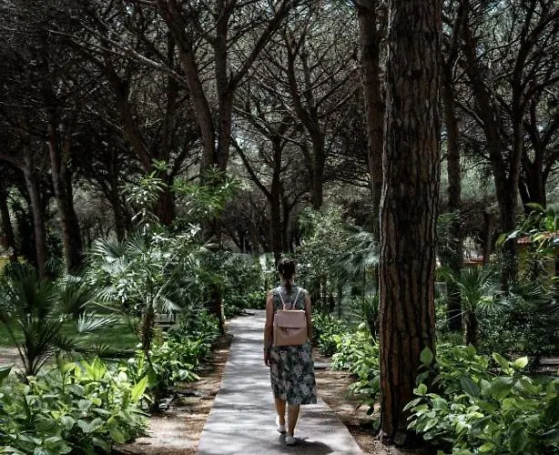 Ala Birdi 3* 阿尔博里亚