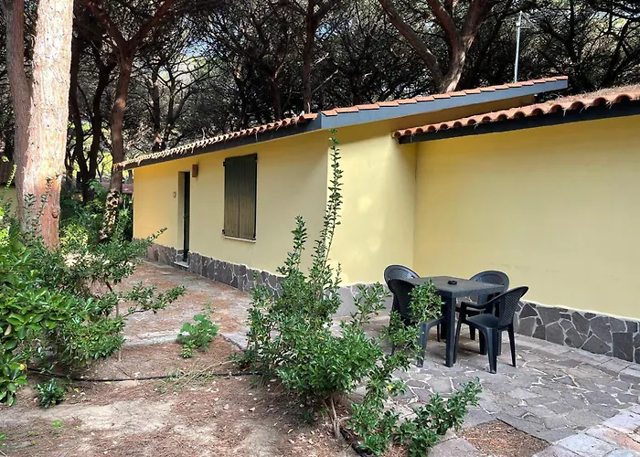 Ala Birdi 阿尔博里亚